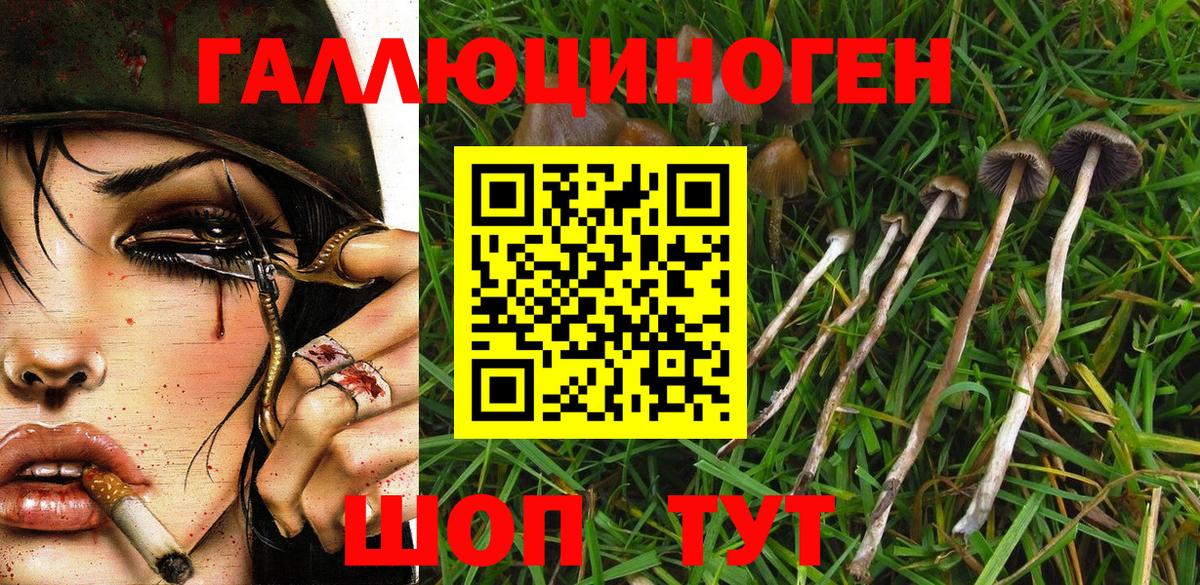 Сатка  Галлюциногенные грибы GOLDEN TEACHER  Вход с VPN 